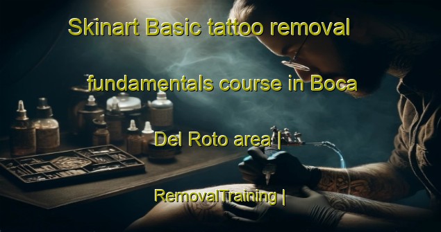 Skinart Basic tattoo removal fundamentals course in Boca Del Roto area | RemovalTraining | RemovalClasses | SkinartTraining-Colombia